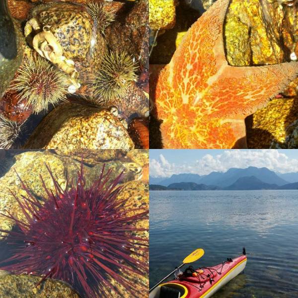 11210429_10152940297761242_4572686378467219736_n